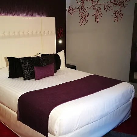 Nyx Independant Centre Gare 3* 佩皮尼昂